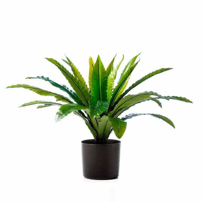 Artificial Plants, Flowers & Stems |  Bird Nest Fern 55Cm Potted Plant Artificial Plants, Flowers & Stems Artificial Plants, Flowers & Stems