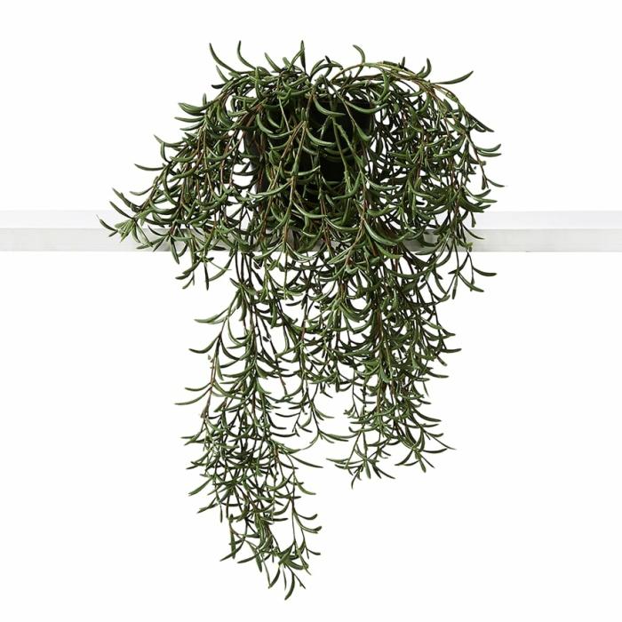 Artificial Plants, Flowers & Stems |  Canning Plant Spikey Hanging Artificial Plants, Flowers & Stems Artificial Plants, Flowers & Stems