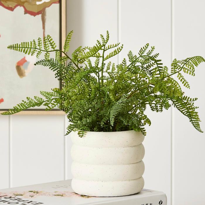 Artificial Plants, Flowers & Stems |  Conran Green/White Potted Fern Artificial Plants, Flowers & Stems Artificial Plants, Flowers & Stems