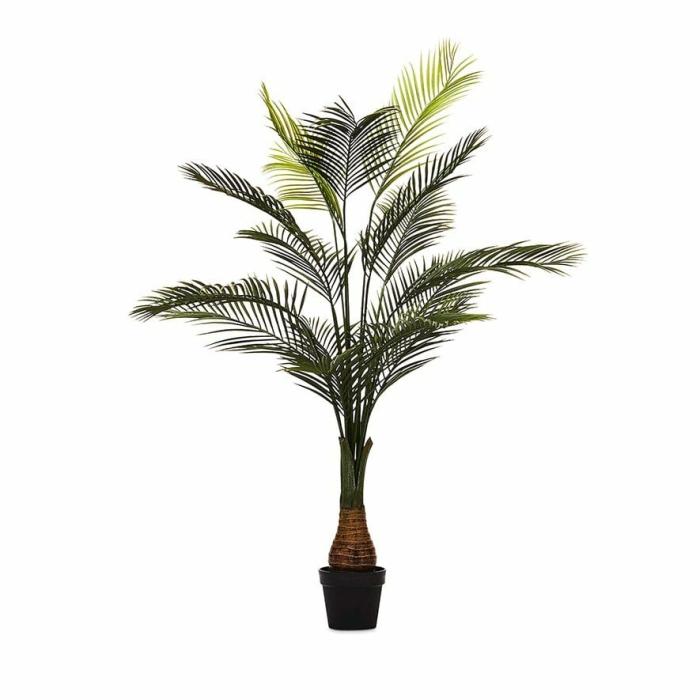 Artificial Plants, Flowers & Stems |  Evergreen Palm Tree Plant 177Cm Artificial Plants, Flowers & Stems Artificial Plants, Flowers & Stems