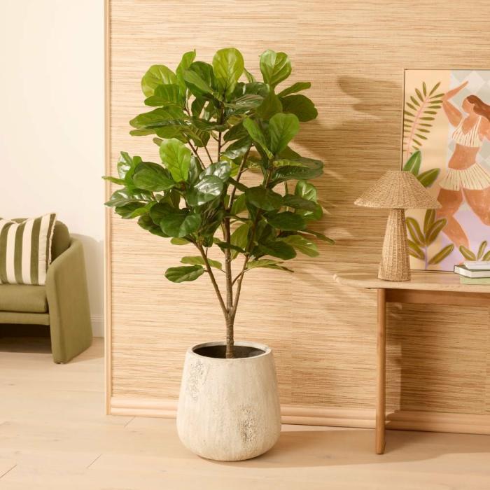 Artificial Plants, Flowers & Stems |  Fiddle Fig Potted Plant 185Cm Artificial Plants, Flowers & Stems Artificial Plants, Flowers & Stems