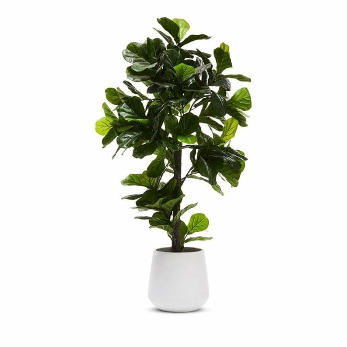 Artificial Plants, Flowers & Stems |  Fiddle Fig Potted Plant 190Cm Artificial Plants, Flowers & Stems Artificial Plants, Flowers & Stems