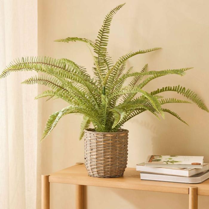 Artificial Plants, Flowers & Stems |  Green Basket Potted Fern 81Cm Artificial Plants, Flowers & Stems Artificial Plants, Flowers & Stems