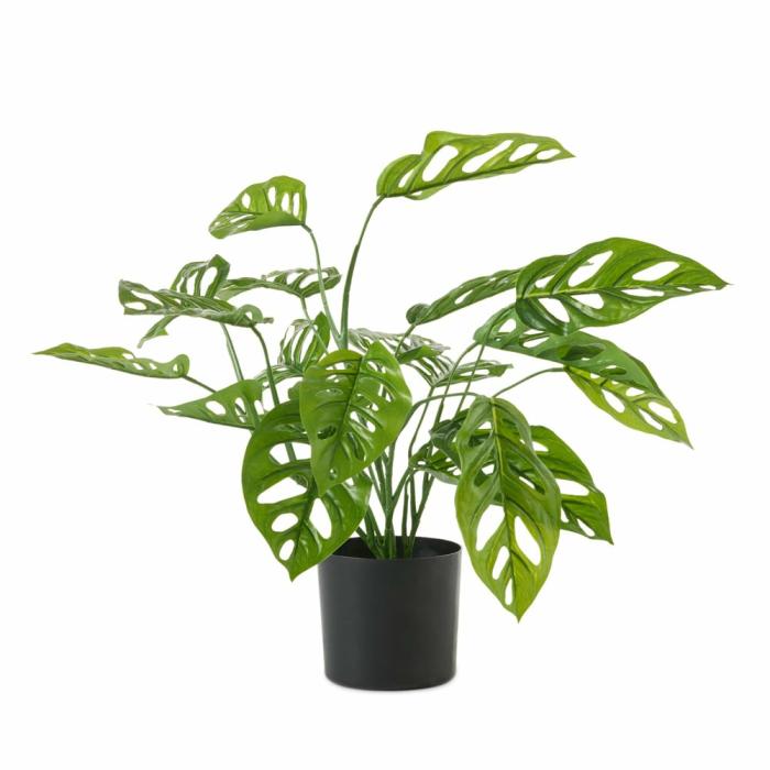 Artificial Plants, Flowers & Stems |  Green Cheese Monstera Artificial Plants, Flowers & Stems Artificial Plants, Flowers & Stems