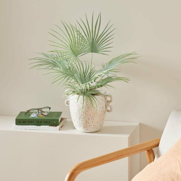 Artificial Plants, Flowers & Stems |  Green Fan Palm 56Cm Artificial Plants, Flowers & Stems Artificial Plants, Flowers & Stems