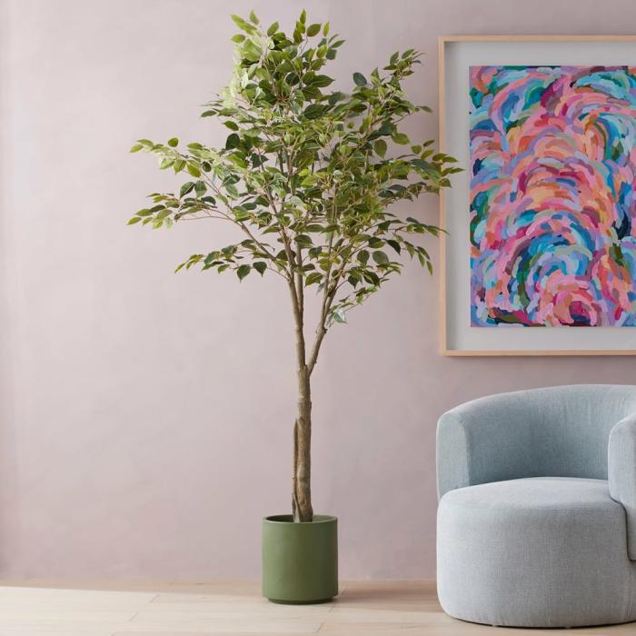 Artificial Plants, Flowers & Stems |  Green Weeping Ficus 182Cm Artificial Plants, Flowers & Stems Artificial Plants, Flowers & Stems