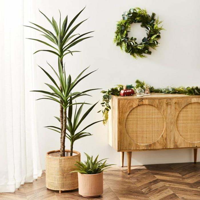 Artificial Plants, Flowers & Stems |  Heneken Potted Plant 150Cm Home Styling Artificial Plants, Flowers & Stems