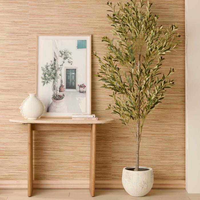 Artificial Plants, Flowers & Stems |  Mature Green Olive Tree 210Cm Artificial Plants, Flowers & Stems Artificial Plants, Flowers & Stems