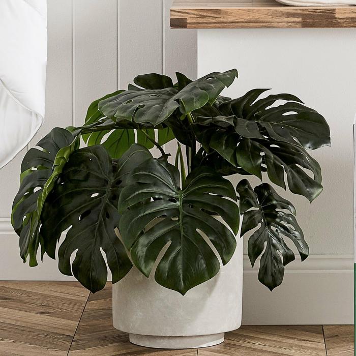 Artificial Plants, Flowers & Stems |  Monstera 2 Bunch Potted Plant 60Cm Artificial Plants, Flowers & Stems Artificial Plants, Flowers & Stems