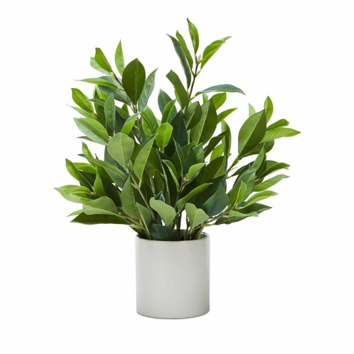 Artificial Plants, Flowers & Stems |  Olea Potted Green Gum Leaves Artificial Plants, Flowers & Stems Artificial Plants, Flowers & Stems