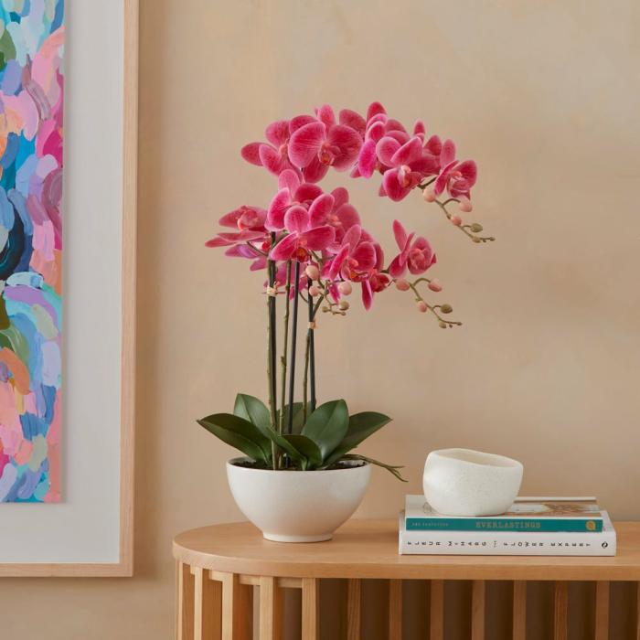 Artificial Plants, Flowers & Stems |  Phalaenopsis Wildberry 3 Stem Orchid Artificial Plants, Flowers & Stems Artificial Plants, Flowers & Stems