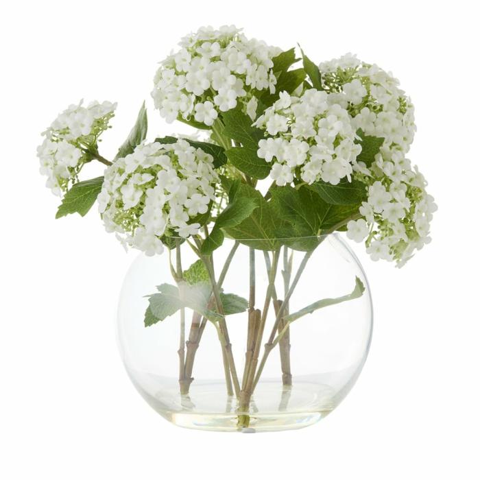 Artificial Plants, Flowers & Stems |  Pom Pom Green Hydrangea In Water Artificial Plants, Flowers & Stems Artificial Plants, Flowers & Stems