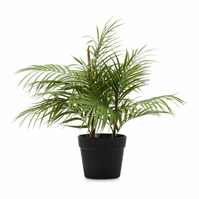 Artificial Plants, Flowers & Stems |  Potted Fern 50Cm Artificial Plants, Flowers & Stems Artificial Plants, Flowers & Stems