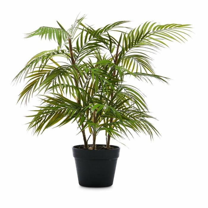 Artificial Plants, Flowers & Stems |  Potted Fern 72Cm Artificial Plants, Flowers & Stems Artificial Plants, Flowers & Stems