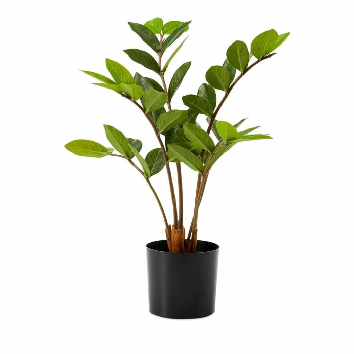 Artificial Plants, Flowers & Stems |  Potted Green Zanzibar Artificial Plants, Flowers & Stems Artificial Plants, Flowers & Stems