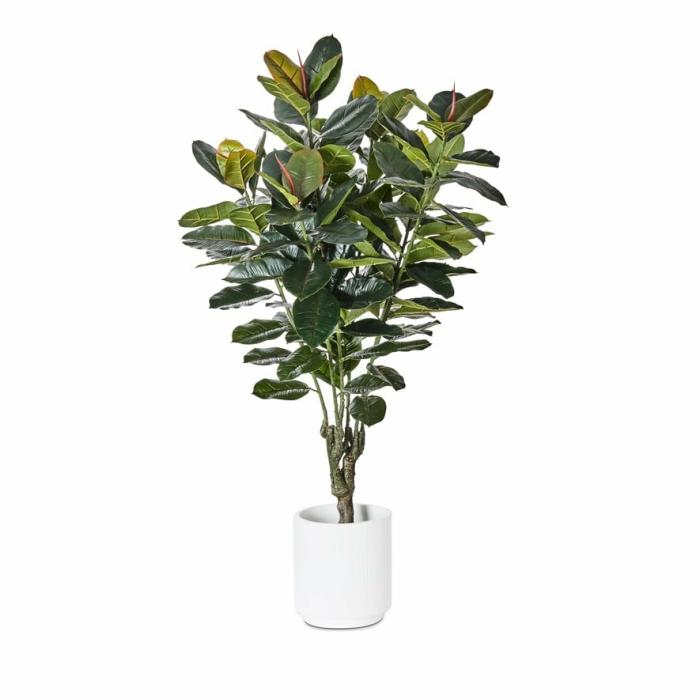 Artificial Plants, Flowers & Stems |  Rubber Fig Potted Plant 150Cm Artificial Plants, Flowers & Stems Artificial Plants, Flowers & Stems