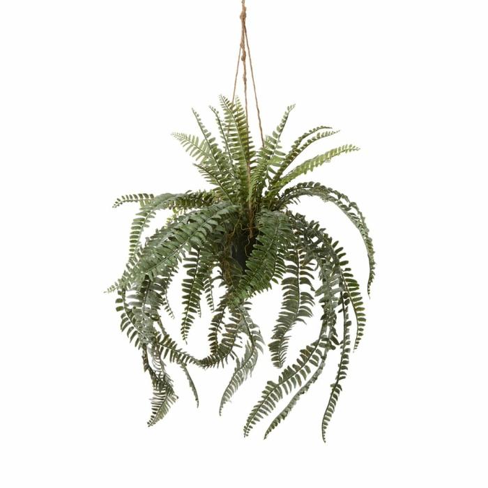 Artificial Plants, Flowers & Stems |  Silver Green Hanging Boston Fern Artificial Plants, Flowers & Stems Artificial Plants, Flowers & Stems