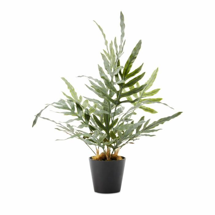 Artificial Plants, Flowers & Stems |  Silver & Green Potted Kangaroo Fern Artificial Plants, Flowers & Stems Artificial Plants, Flowers & Stems