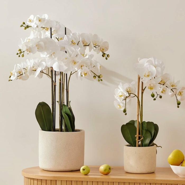 Artificial Plants, Flowers & Stems |  White Orchids Artificial Plants, Flowers & Stems Artificial Plants, Flowers & Stems