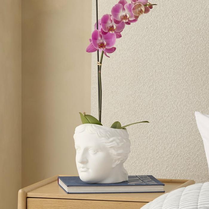 Pots, Vases & Plant Stands |  Grecian White Aphrodite Head Pot Home Styling Pots, Vases & Plant Stands